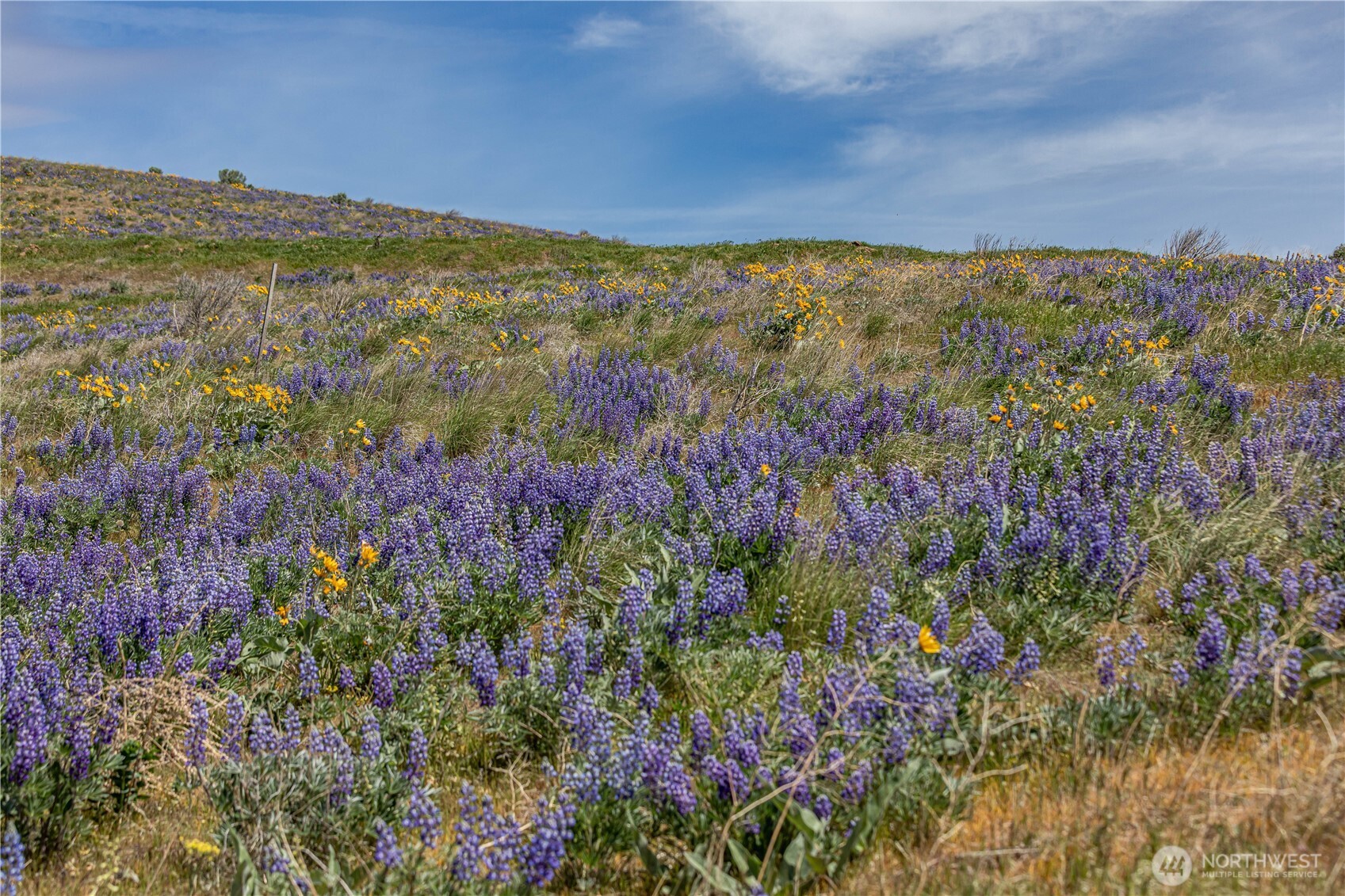 0 Burch Mountain Road Wenatchee WA 98801