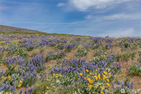 0 Burch Mountain Road Wenatchee WA 98801