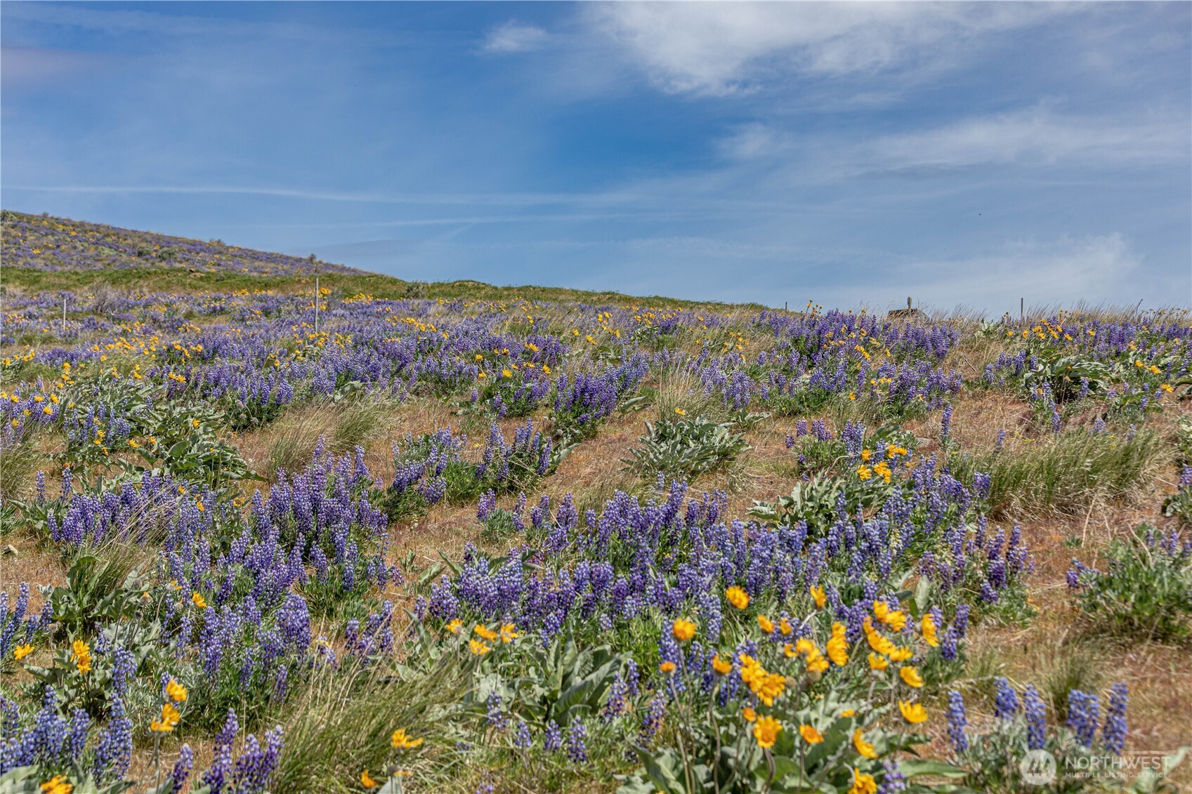 0 Burch Mountain Road Wenatchee WA 98801