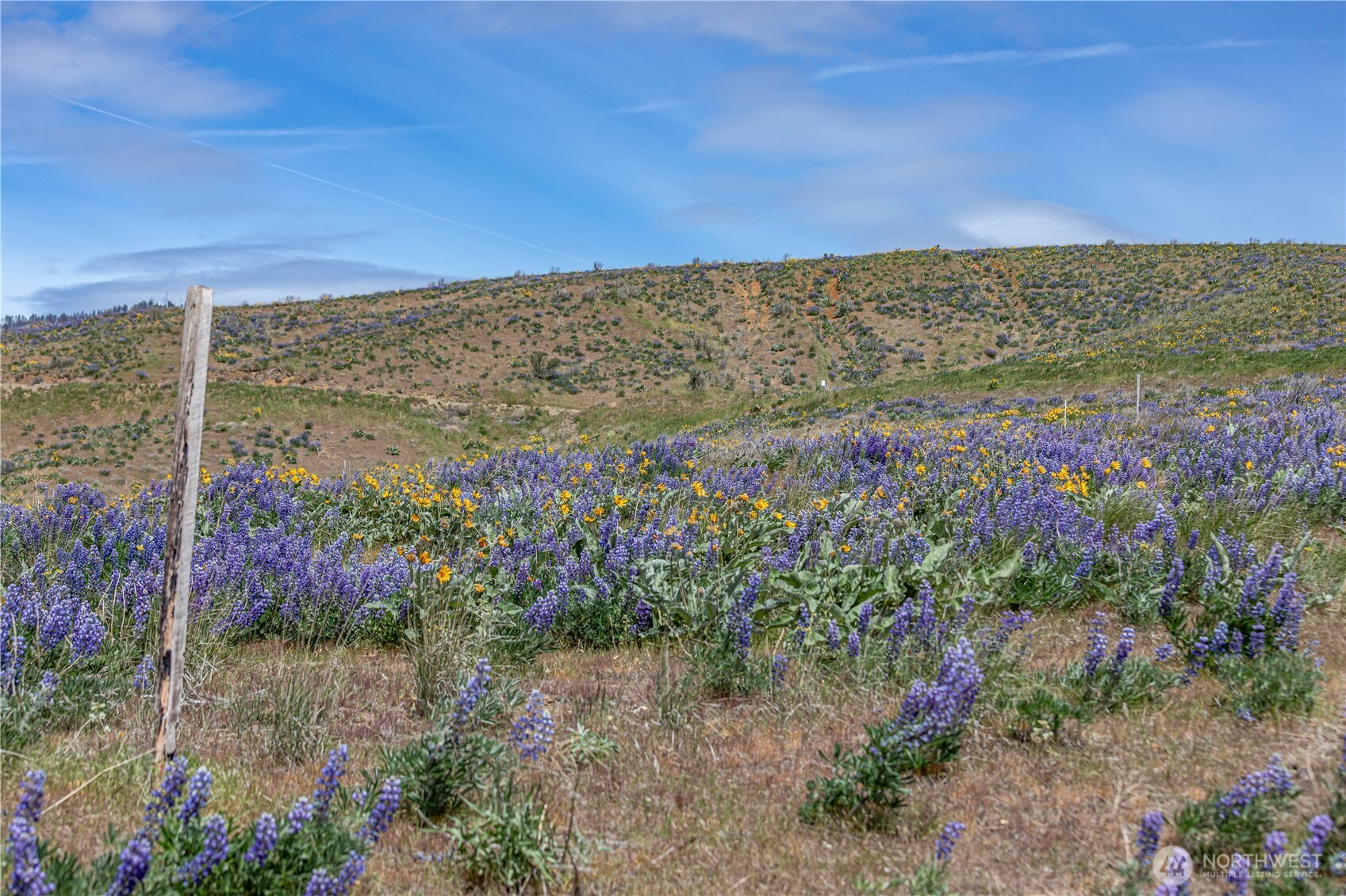 0 Burch Mountain Road Wenatchee WA 98801
