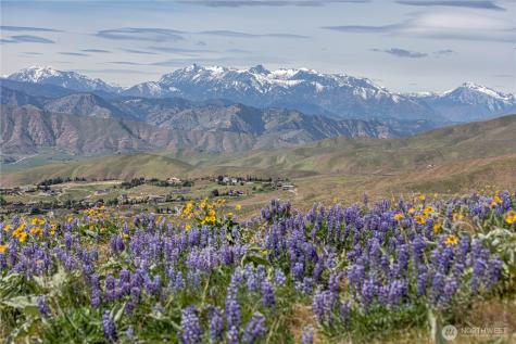 0 Burch Mountain Road Wenatchee WA 98801