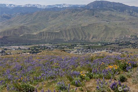0 Burch Mountain Road Wenatchee WA 98801