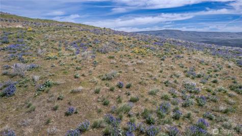 0 Burch Mountain Road Wenatchee WA 98801