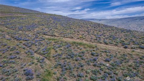 0 Burch Mountain Road Wenatchee WA 98801