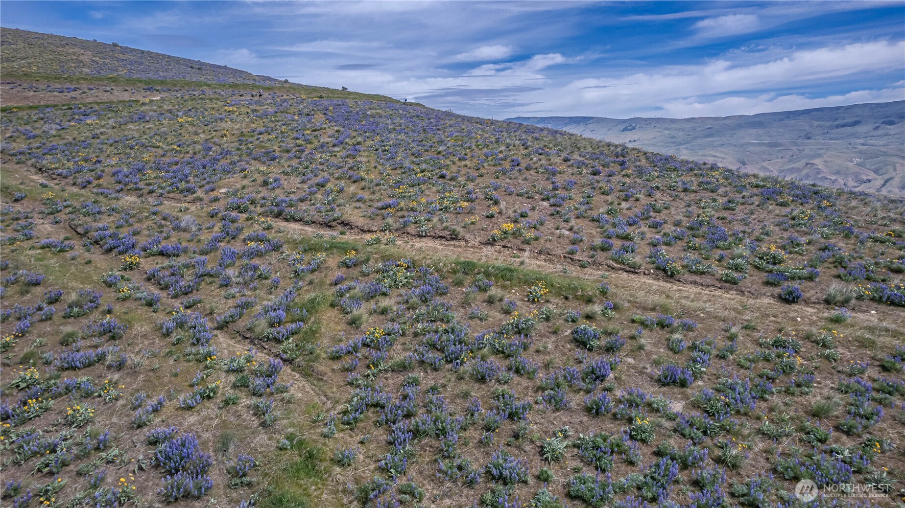 0 Burch Mountain Road Wenatchee WA 98801