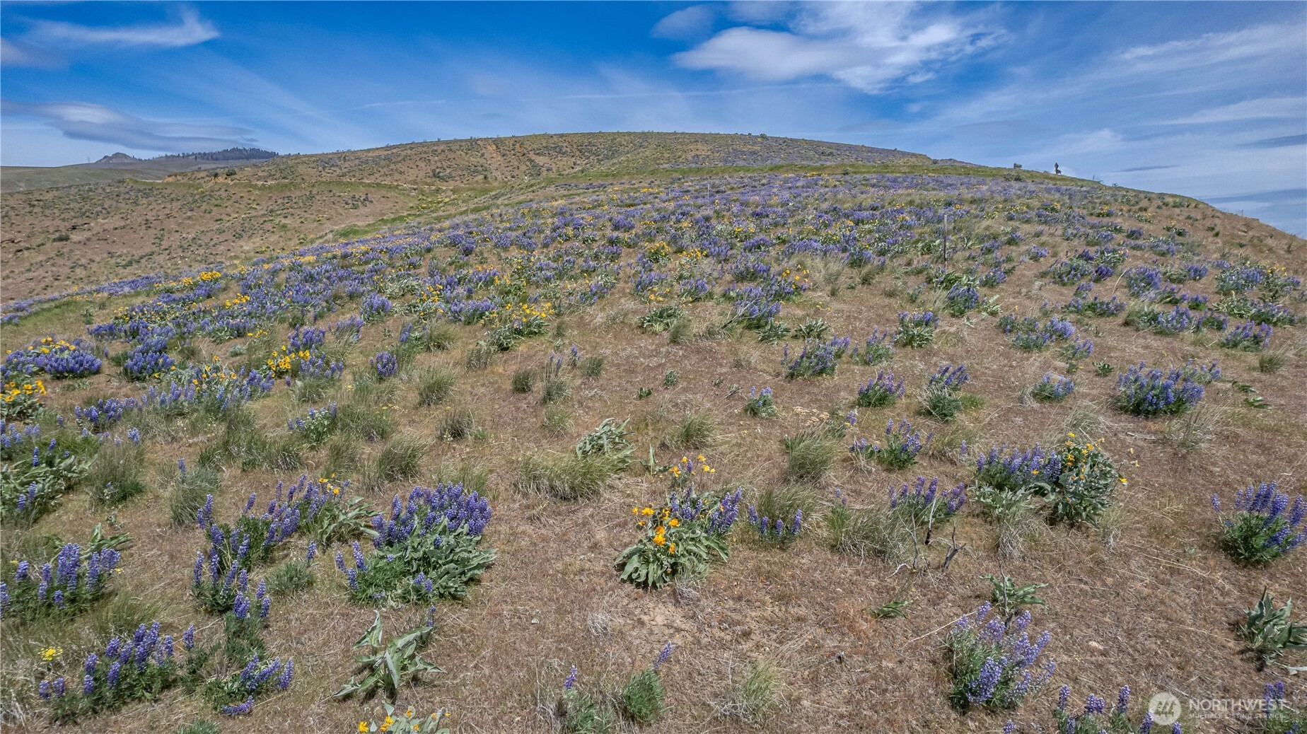 0 Burch Mountain Road Wenatchee WA 98801