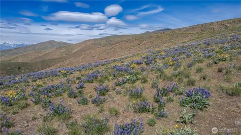 0 Burch Mountain Road Wenatchee WA 98801