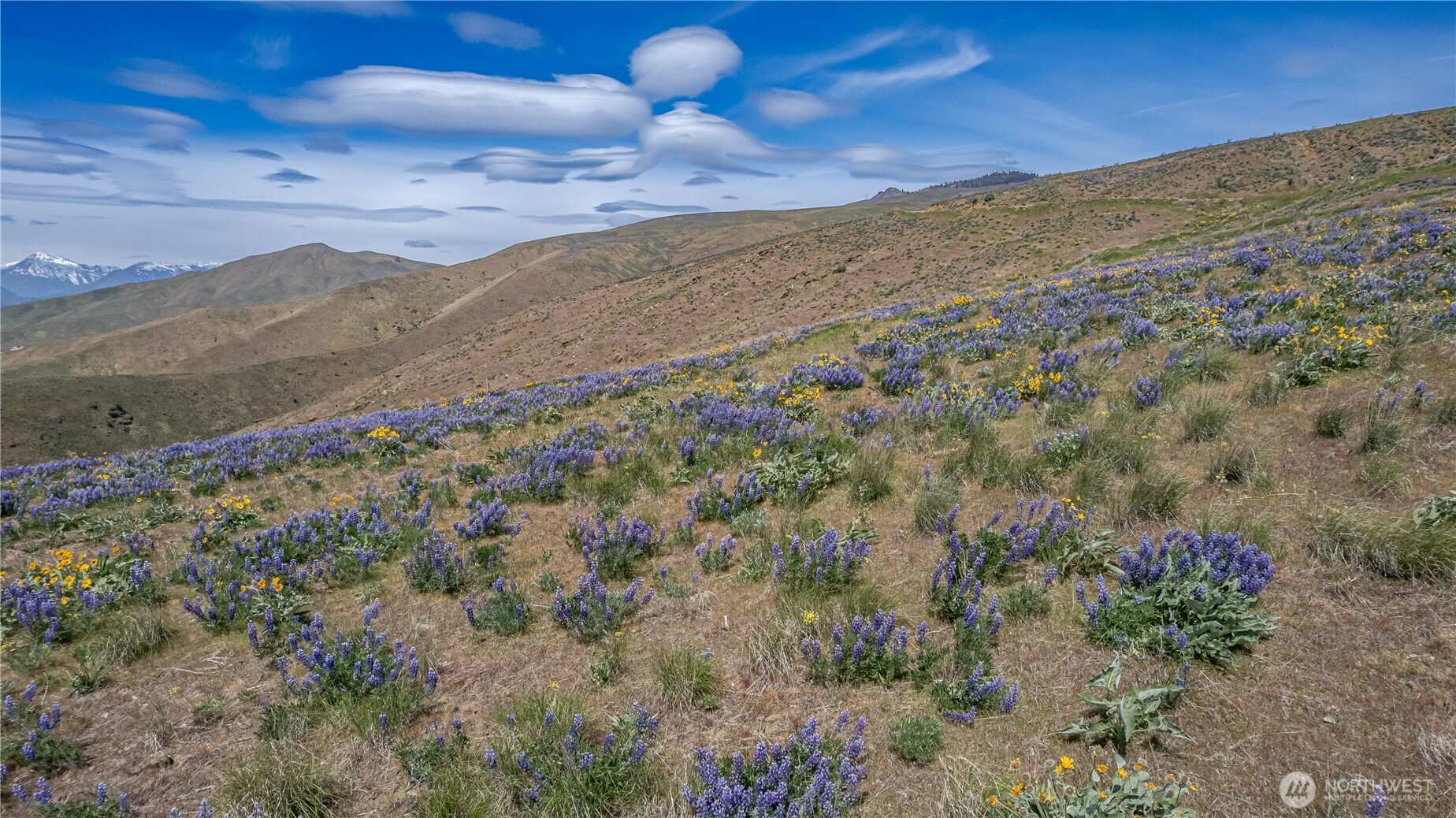 0 Burch Mountain Road Wenatchee WA 98801