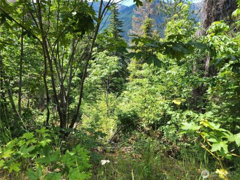 7 Newport Creek Loop Ronald WA 98940