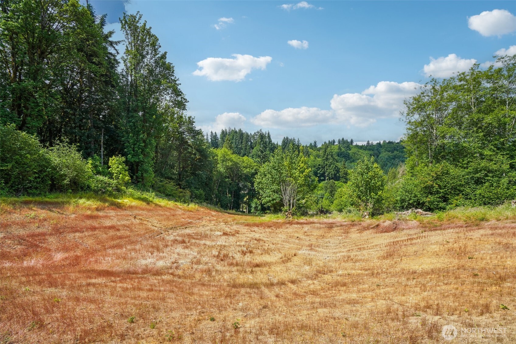 1830 Hazel Dell Road Castle Rock WA 98611