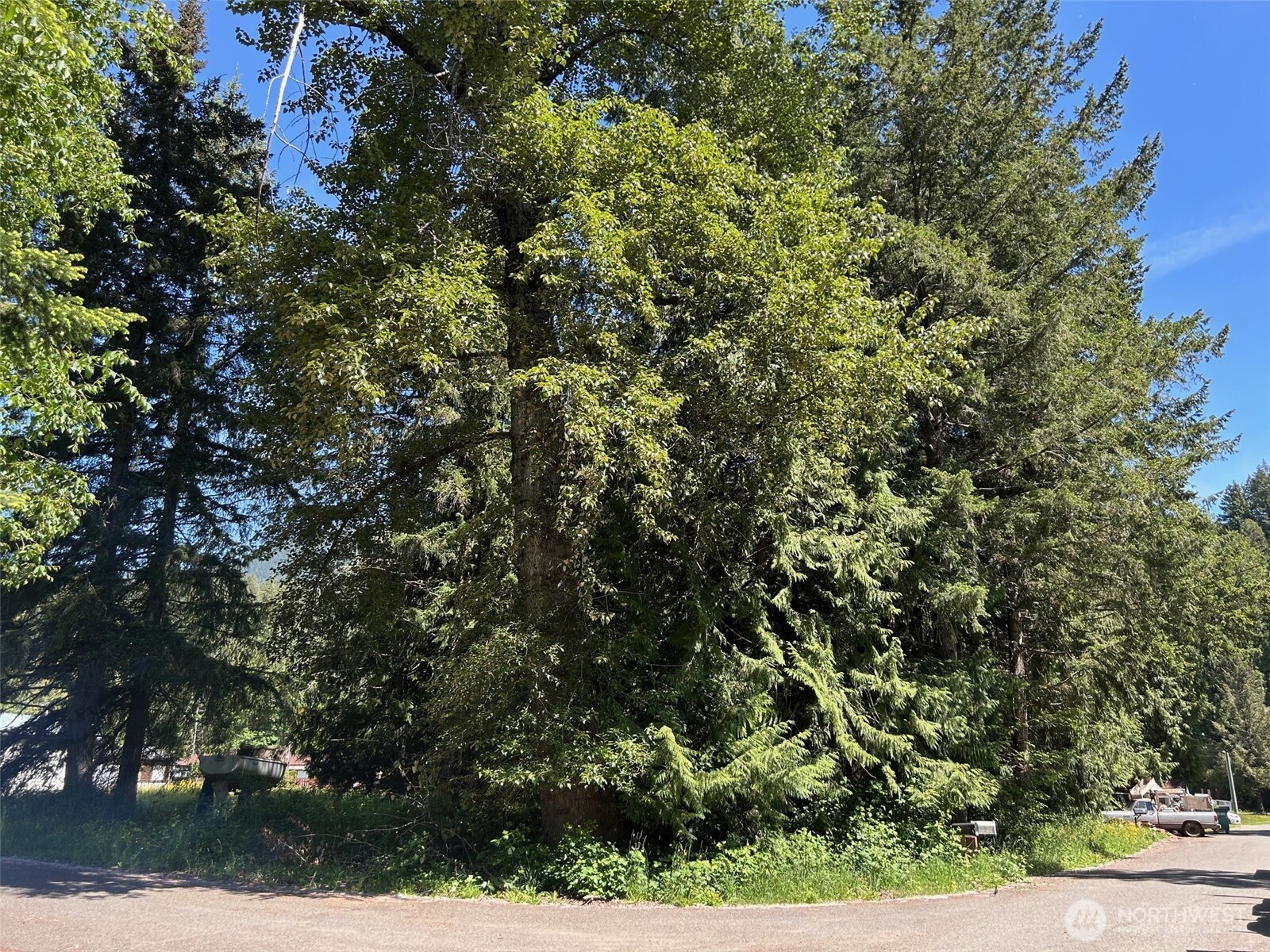 201 Morgan Lane Brinnon WA 98320