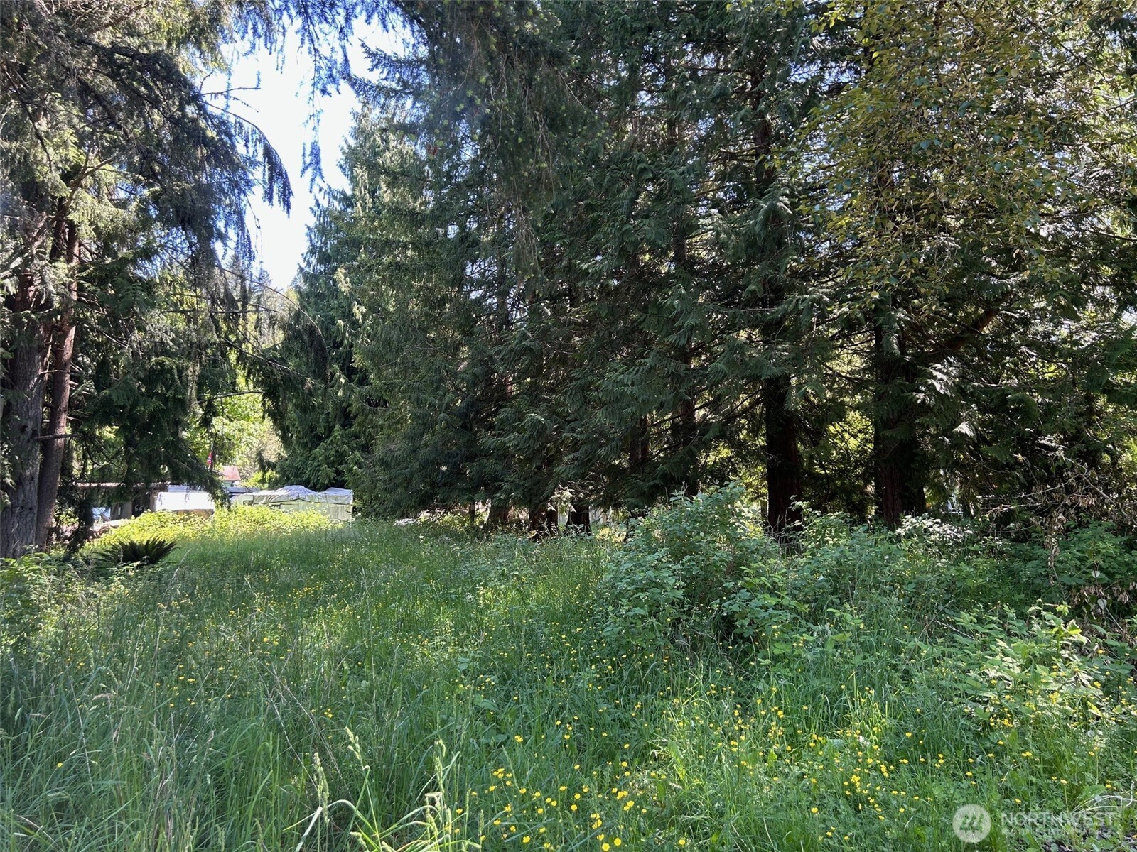 201 Morgan Lane Brinnon WA 98320