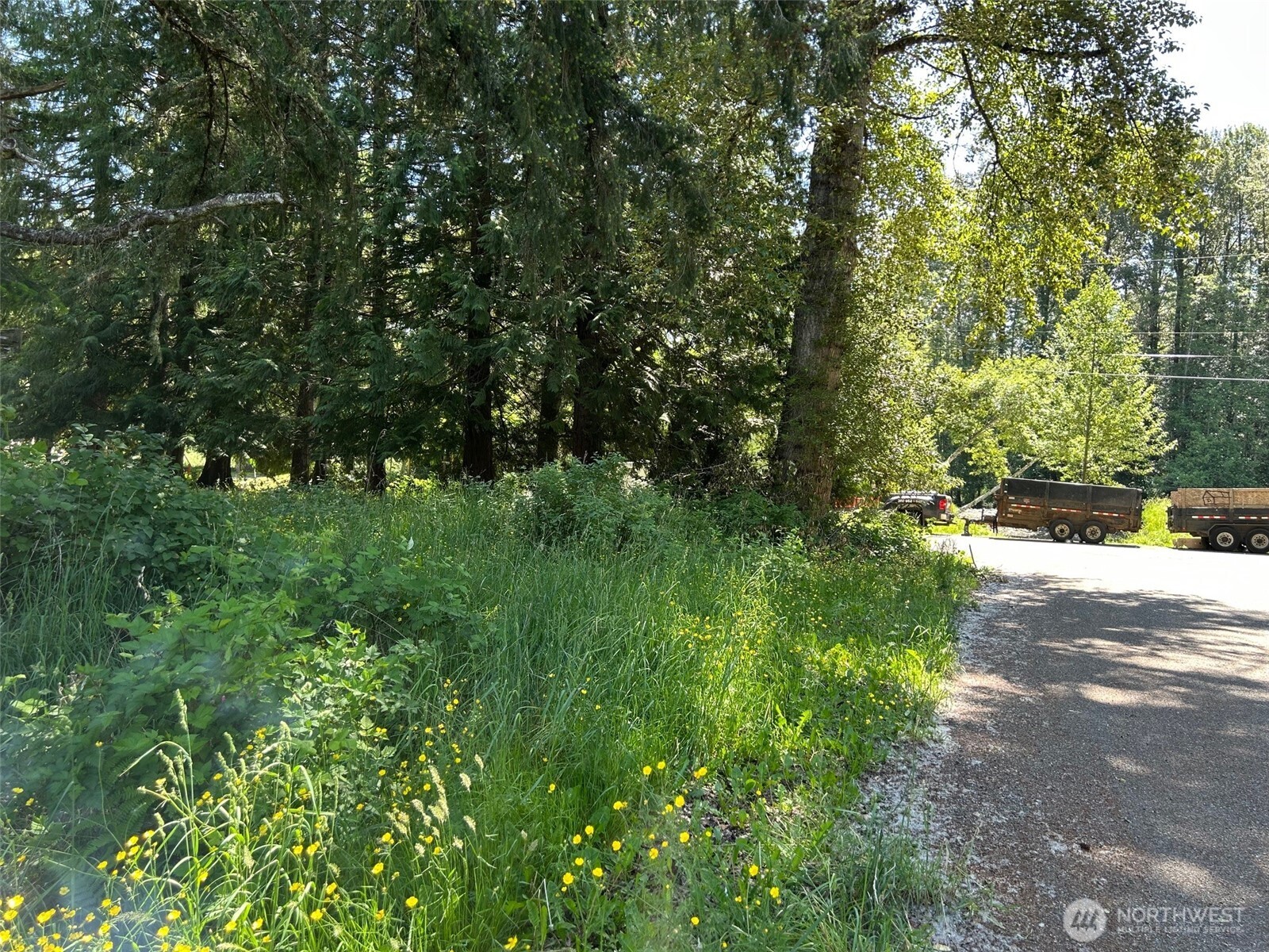 201 Morgan Lane Brinnon WA 98320