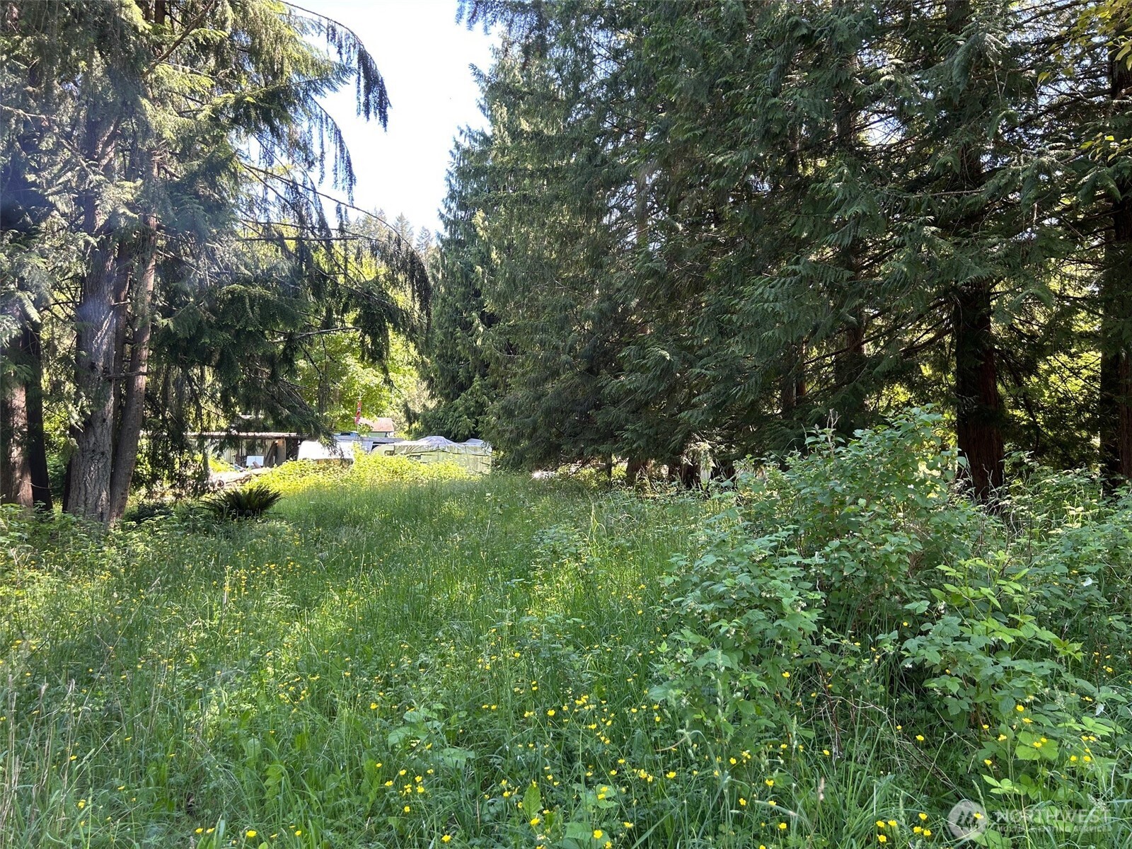 201 Morgan Lane Brinnon WA 98320