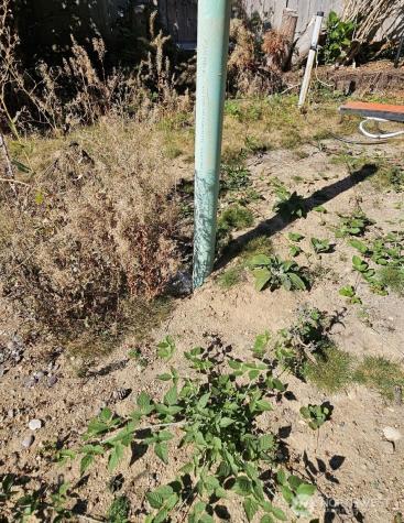 12657 NE 104th Street Kirkland WA 98033