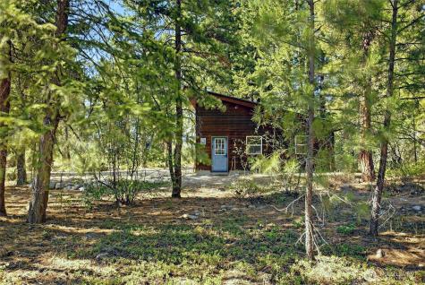 15 Deer Run Loop Road Mazama WA 98833