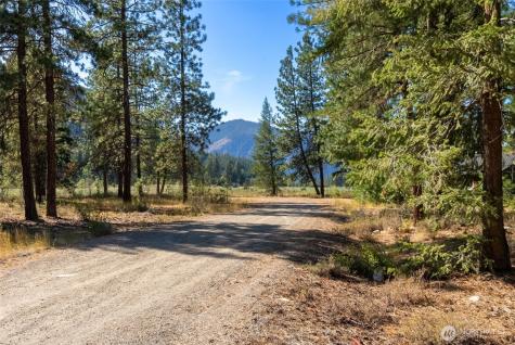 15 Deer Run Loop Road Mazama WA 98833