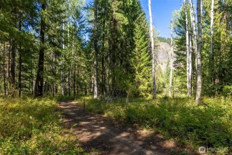 15 Deer Run Loop Road Mazama WA 98833