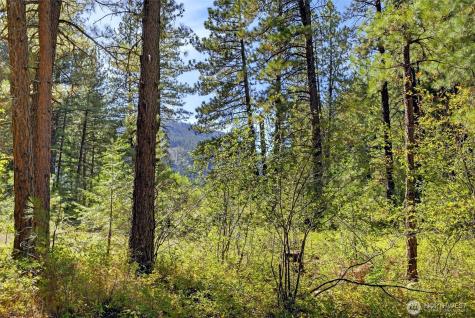 15 Deer Run Loop Road Mazama WA 98833