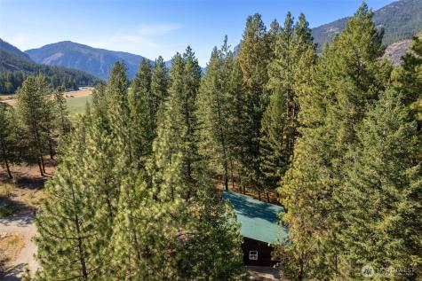 15 Deer Run Loop Road Mazama WA 98833