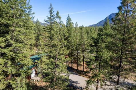 15 Deer Run Loop Road Mazama WA 98833