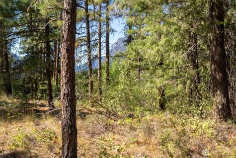 15 Deer Run Loop Road Mazama WA 98833