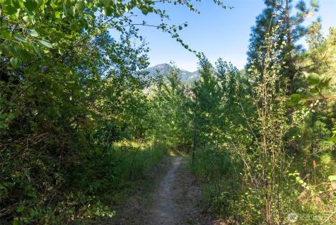 15 Deer Run Loop Road Mazama WA 98833