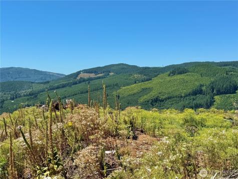 3700 Little Kalama River Road Woodland WA 98674