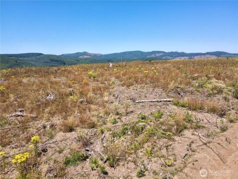 3700 Little Kalama River Road Woodland WA 98674