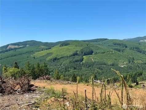 3700 Little Kalama River Road Woodland WA 98674