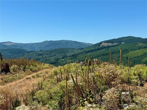3700 Little Kalama River Road Woodland WA 98674