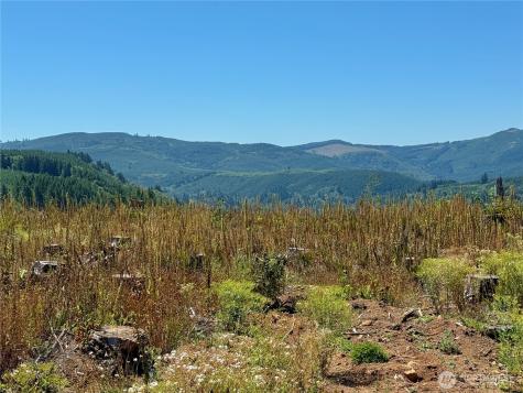 3700 Little Kalama River Road Woodland WA 98674