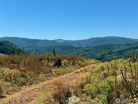 3700 Little Kalama River Road Woodland WA 98674