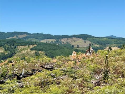 3700 Little Kalama River Road Woodland WA 98674