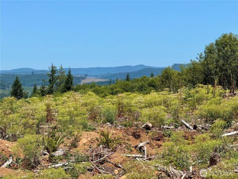 3700 Little Kalama River Road Woodland WA 98674