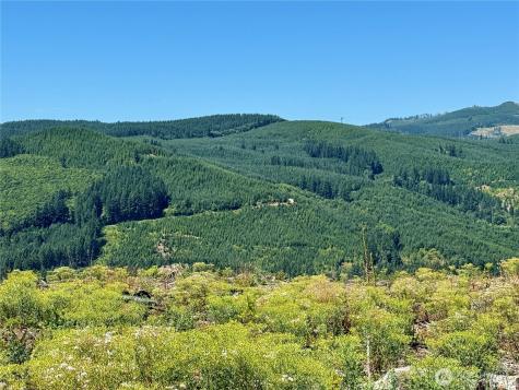 3700 Little Kalama River Road Woodland WA 98674