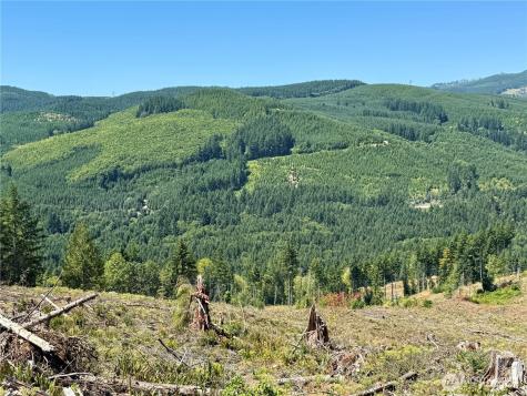 3700 Little Kalama River Road Woodland WA 98674
