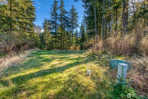 212 Eagle Lake Lane Orcas Island WA 98280