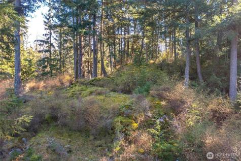 212 Eagle Lake Lane Orcas Island WA 98280