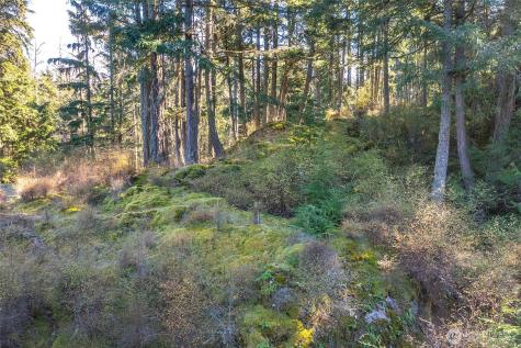 212 Eagle Lake Lane Orcas Island WA 98280