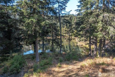 212 Eagle Lake Lane Orcas Island WA 98280