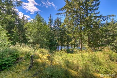 212 Eagle Lake Lane Orcas Island WA 98280