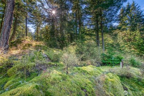 212 Eagle Lake Lane Orcas Island WA 98280