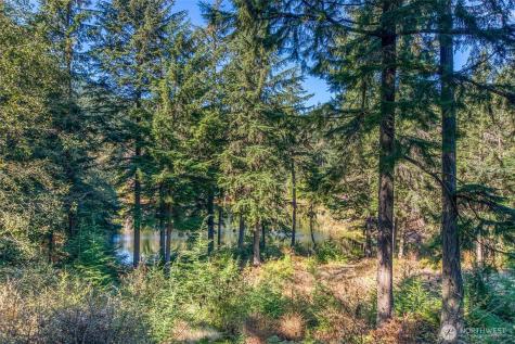 212 Eagle Lake Lane Orcas Island WA 98280