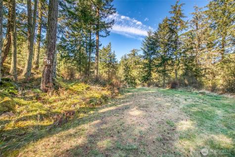 212 Eagle Lake Lane Orcas Island WA 98280