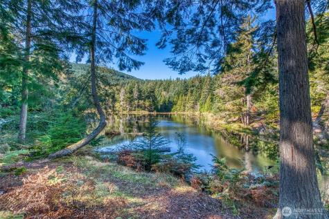 212 Eagle Lake Lane Orcas Island WA 98280