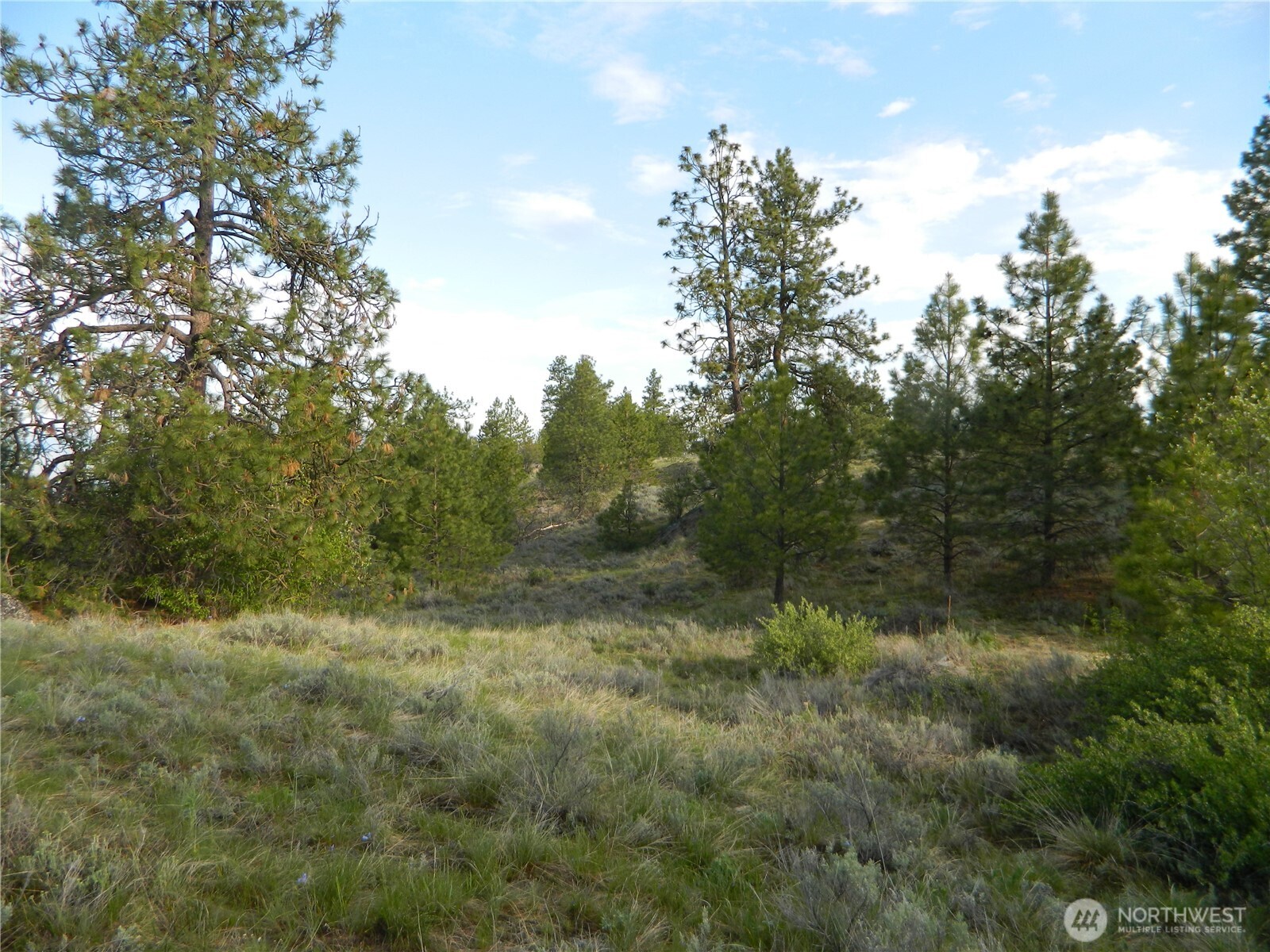 0 Tbd Rehmke Road Tonasket WA 98855