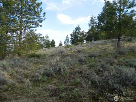 0 Tbd Rehmke Road Tonasket WA 98855