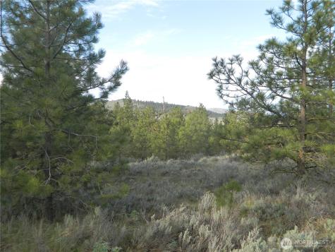0 Tbd Rehmke Road Tonasket WA 98855