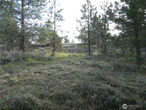 0 Tbd Rehmke Road Tonasket WA 98855